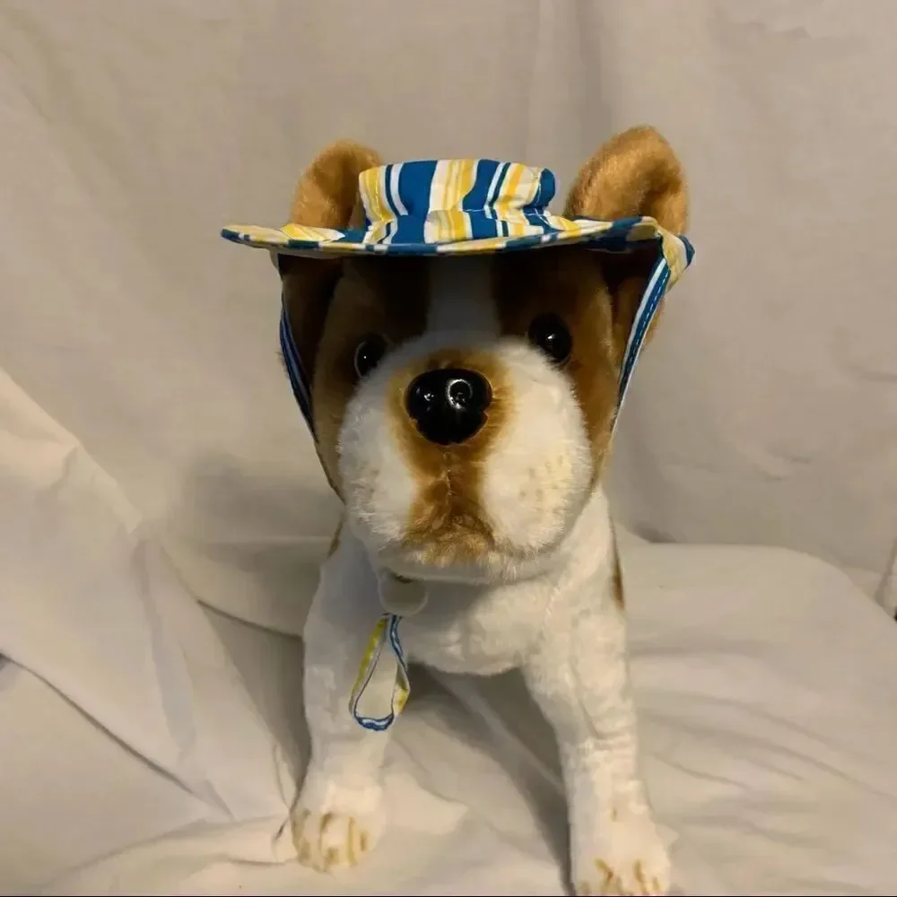 N/A doggie blue